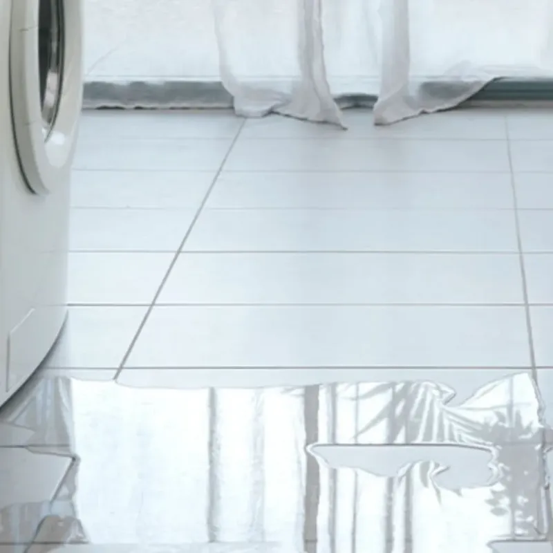 Appliance Leak Cleanup in Waskom, TX