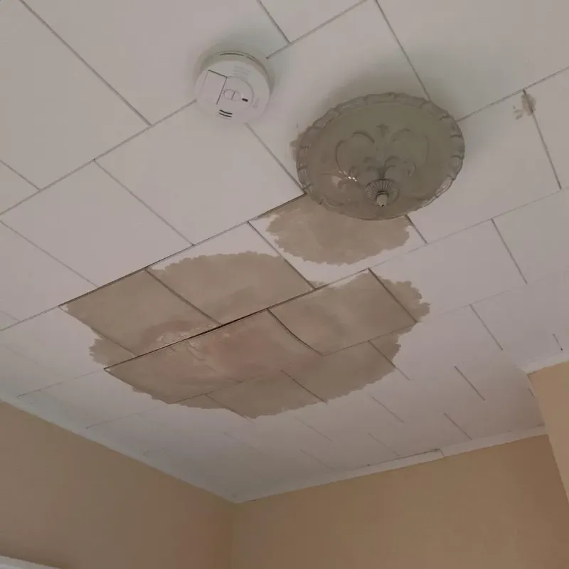 Ceiling Water Damage Repair in Waskom, TX