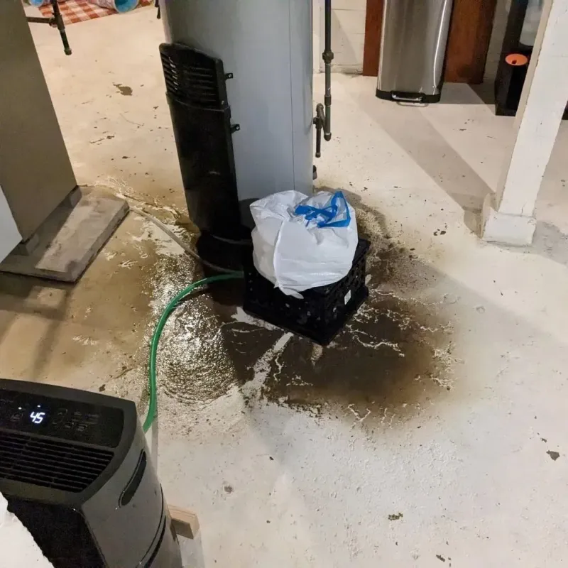 Sewage Backup Cleanup Service in Waskom, TX